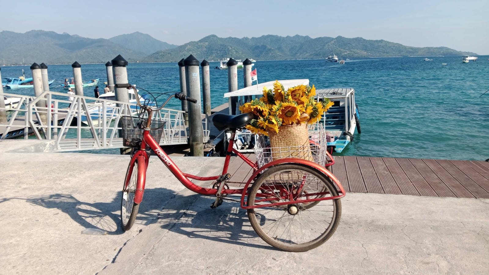 Island Bloom flowers carried by bicycle